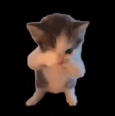 dance